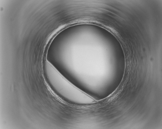 X0000058781134200509300808