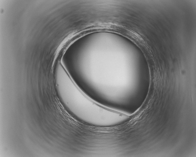 X0000058781172200509300807
