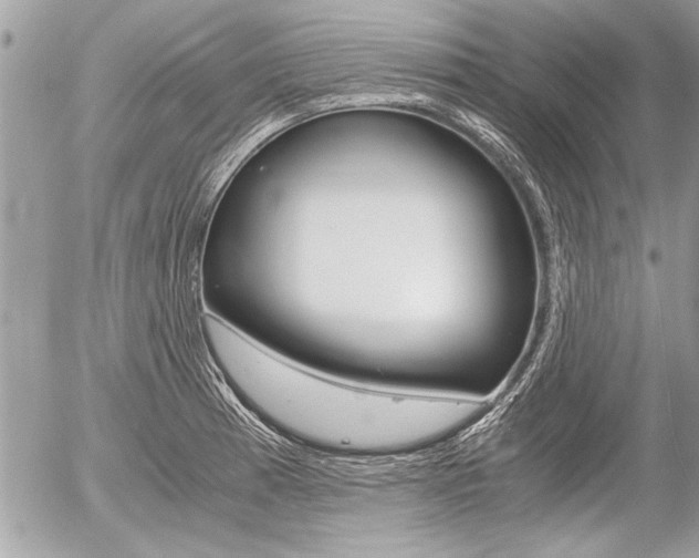X0000058781185200509300807