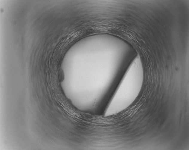 X0000058781201200509300806