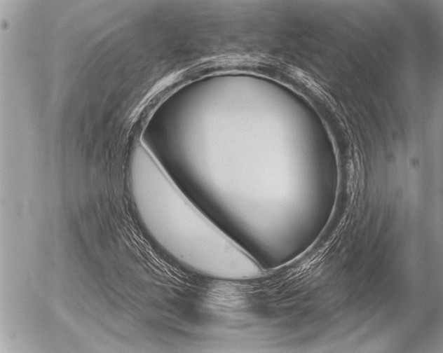 X0000058781213200509300806