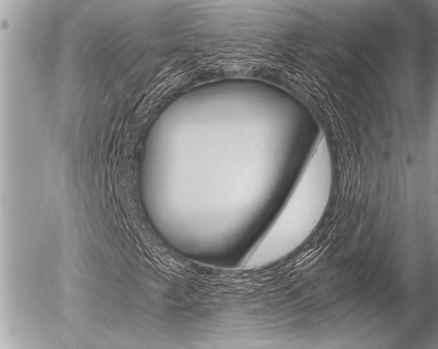 X0000058781249200509300806