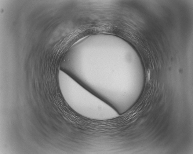 X0000058781251200509300806