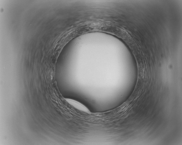 X0000058781253200509300806