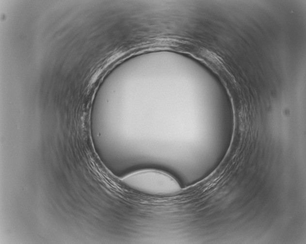 X0000058781260200509300806