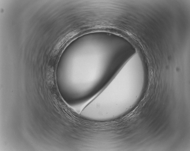 X0000058781265200509300806