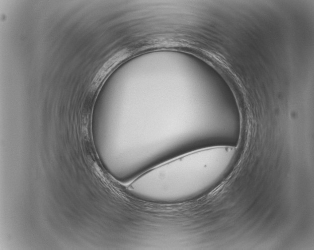 X0000058781273200509300806