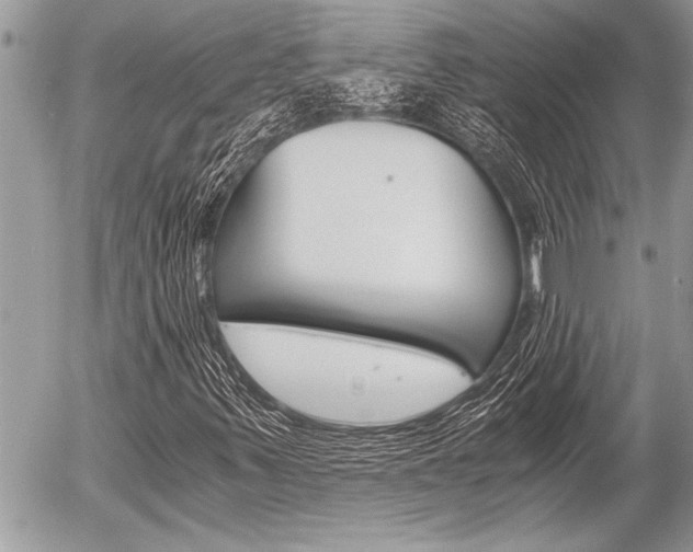 X0000058781347200509300804