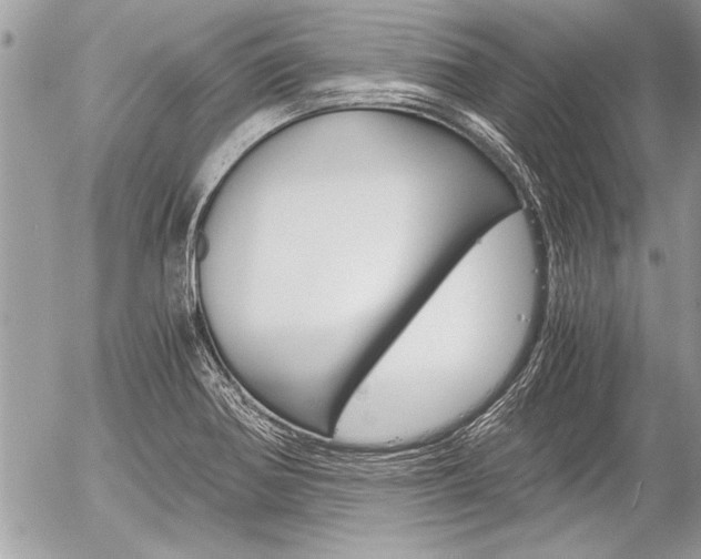 X0000058781370200509300804