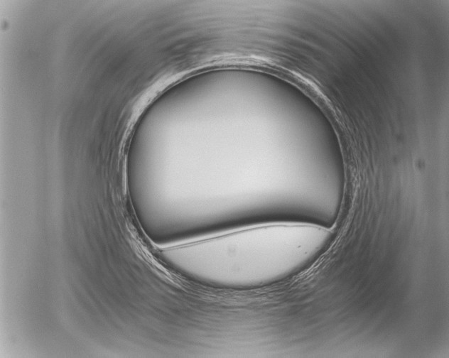 X0000058781371200509300804