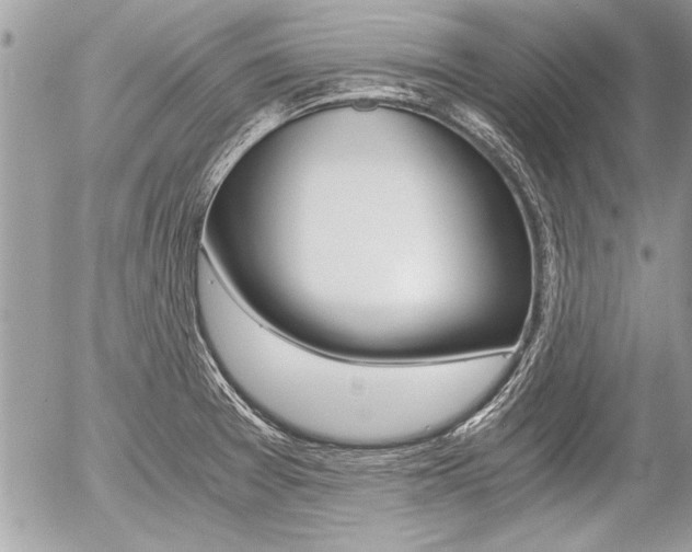 X0000058781377200509300804