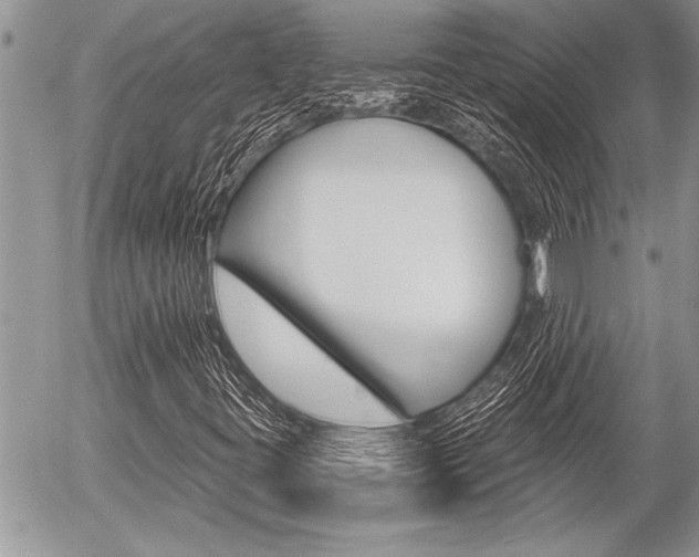 X0000058781395200509300803