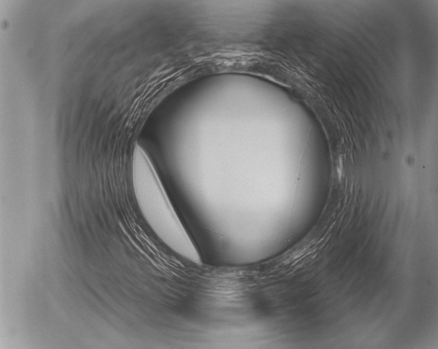 X0000058781396200509300803