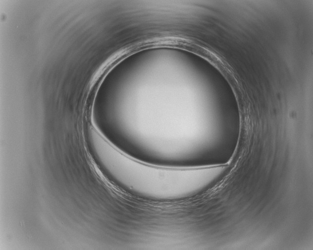 X0000058781418200509300803
