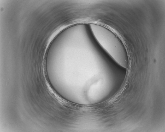 X0000058781440200509300804