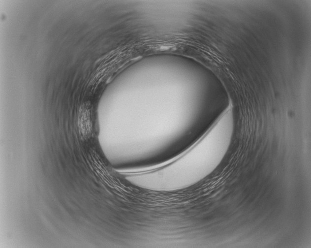 X0000058781442200509300803