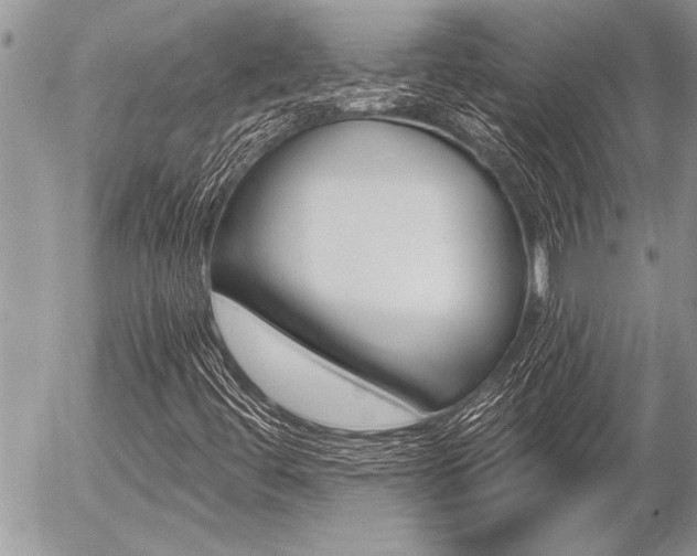 X0000058781444200509300803