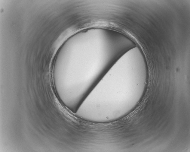 X0000058781475200509300802
