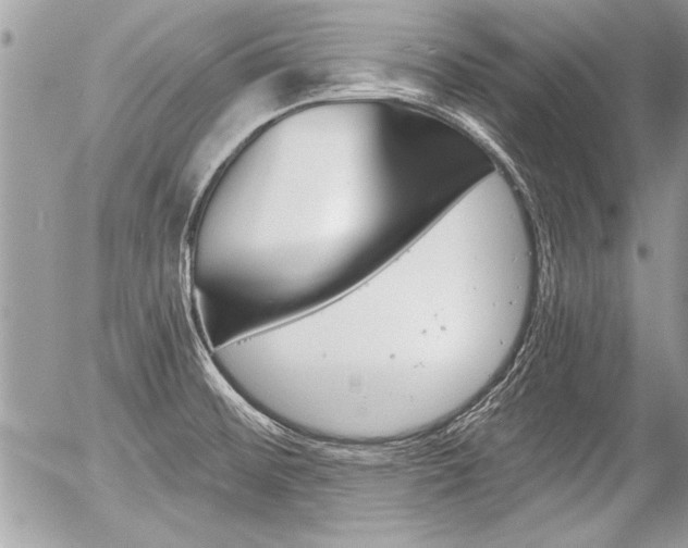 X0000058781476200509300802
