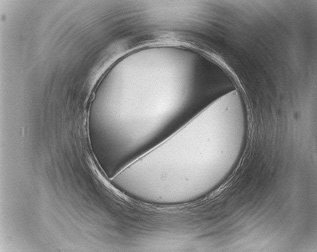 X0000058781484200509300802