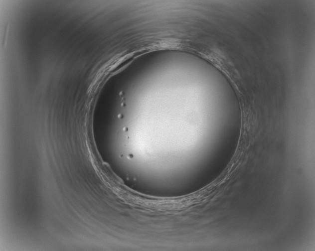 X0000058780001200509301127