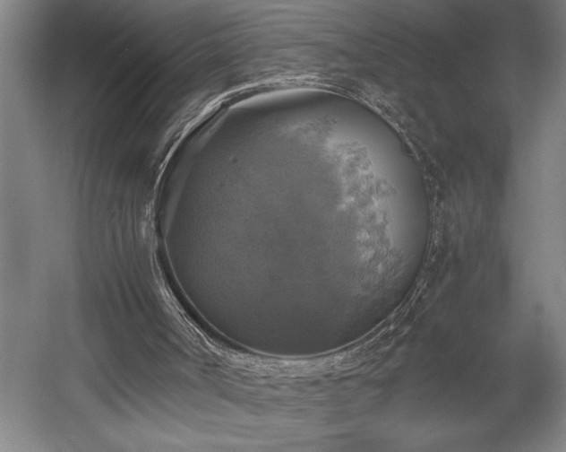 X0000058780002200509301127