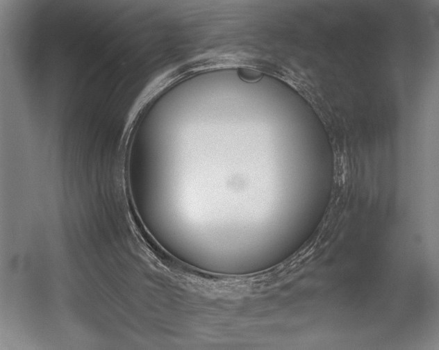 X0000058780004200509301127