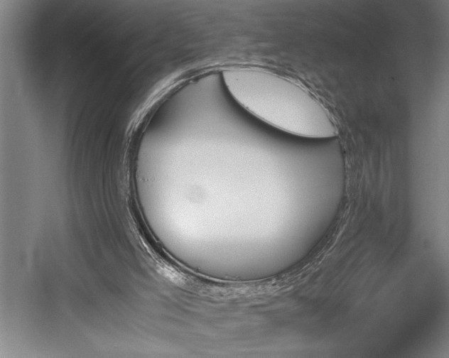 X0000058780005200509301127