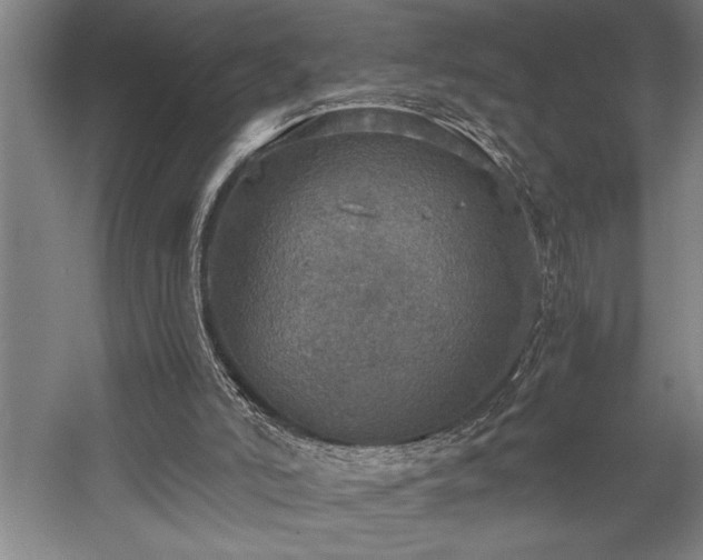 X0000058780006200509301127