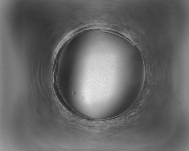 X0000058780007200509301127