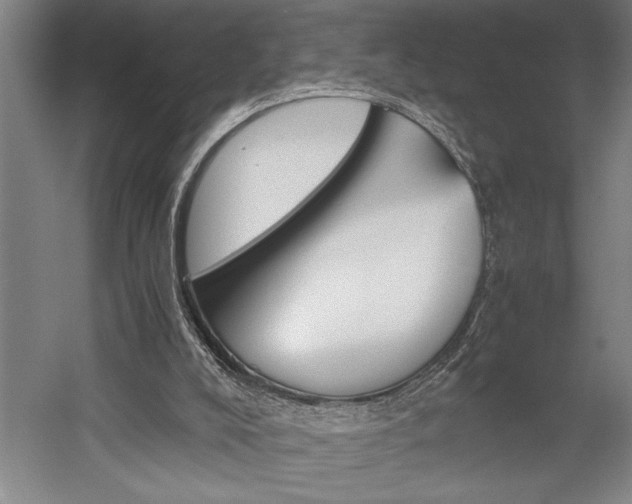 X0000058780008200509301127