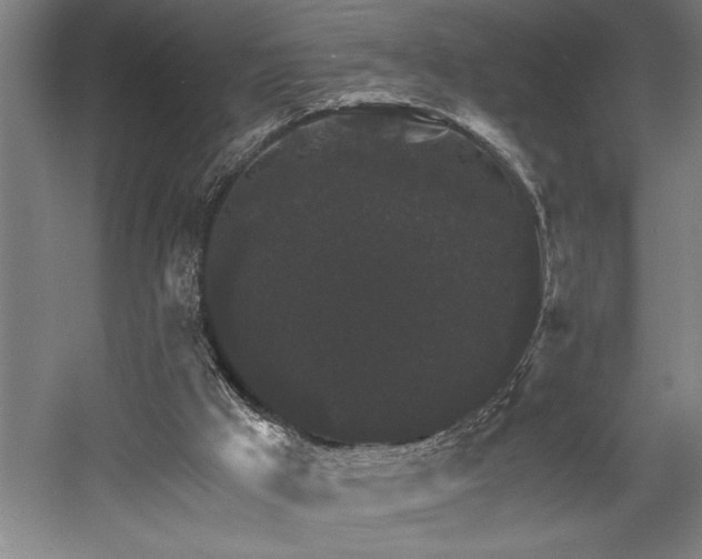 X0000058780009200509301127