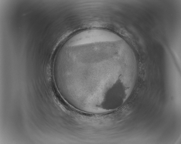 X0000058780012200509301127