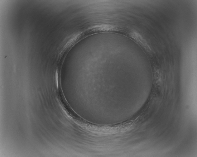 X0000058780014200509301127