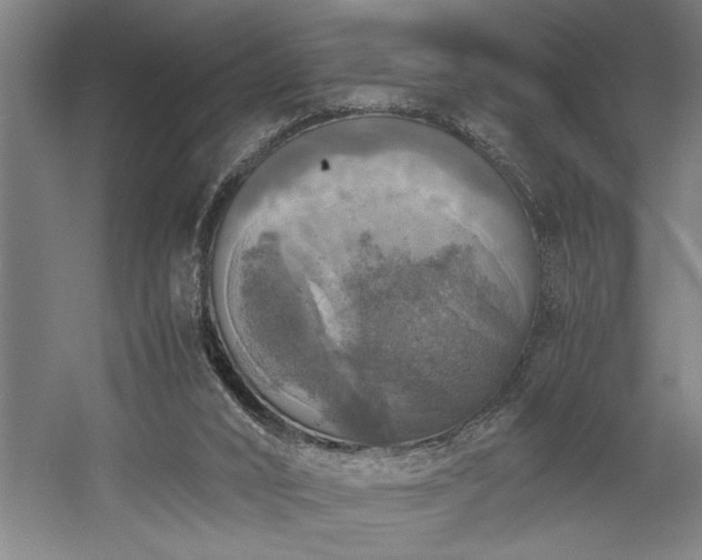 X0000058780016200509301127