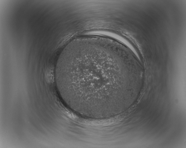 X0000058780017200509301127