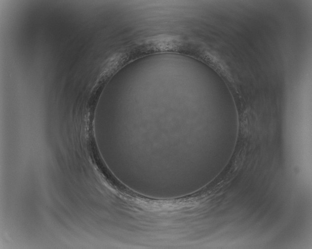 X0000058780018200509301127