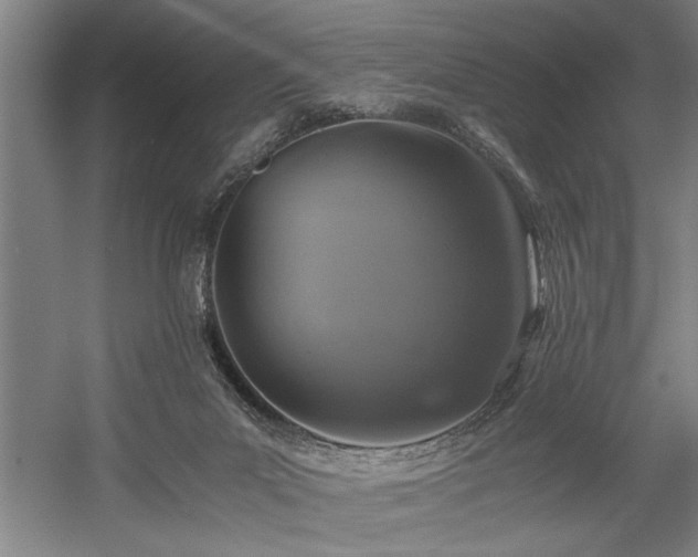 X0000058780023200509301126