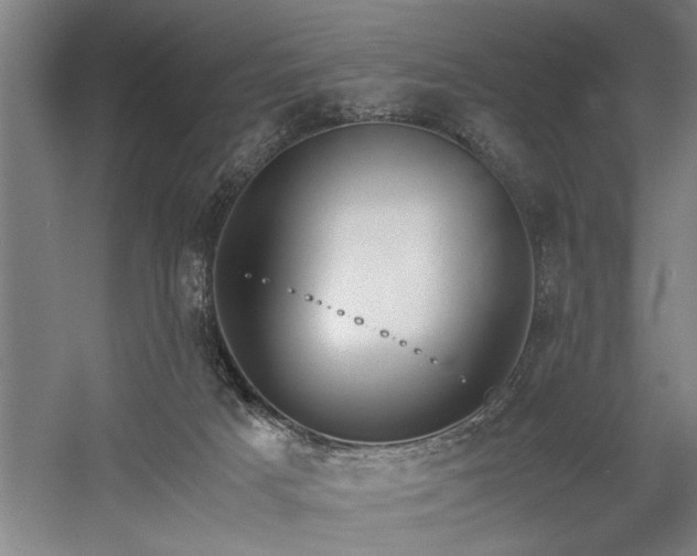 X0000058780025200509301126