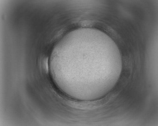 X0000058780028200509301126