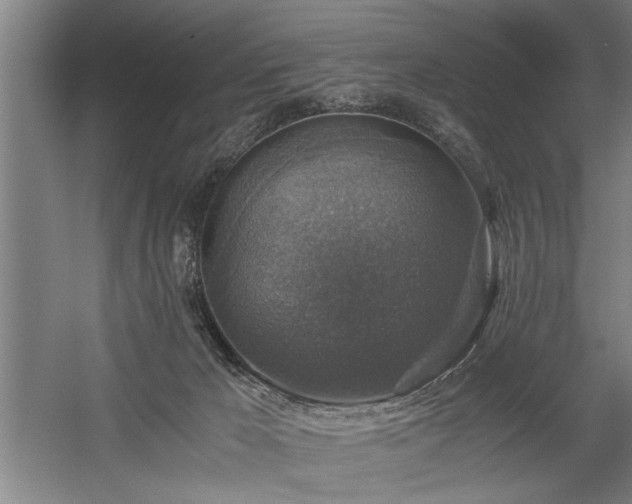 X0000058780029200509301126