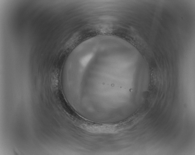 X0000058780032200509301126