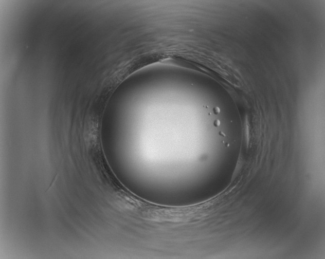 X0000058780033200509301126