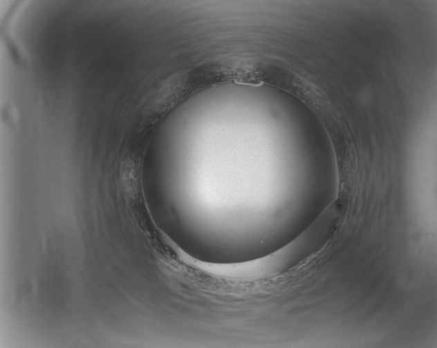 X0000058780037200509301126