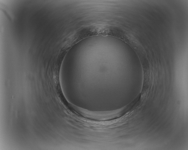 X0000058780039200509301126