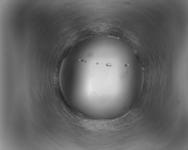 X0000058780040200509301126