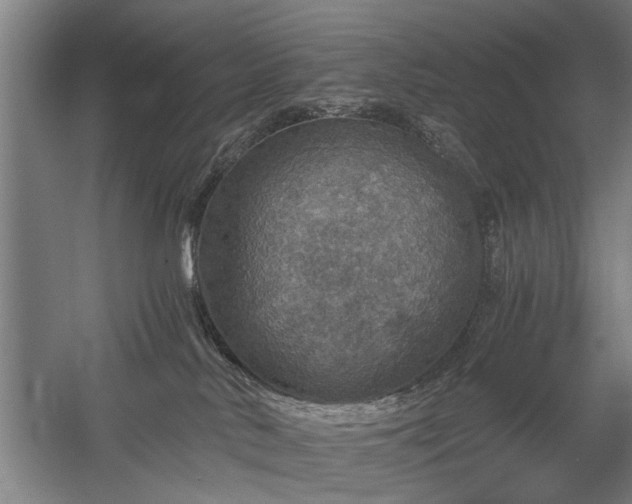 X0000058780042200509301126