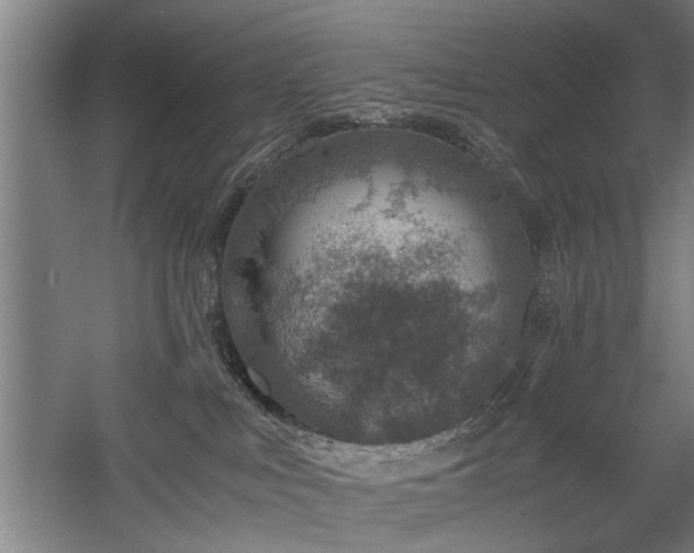 X0000058780043200509301126