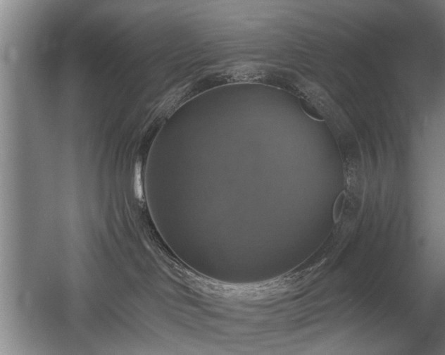 X0000058780046200509301126