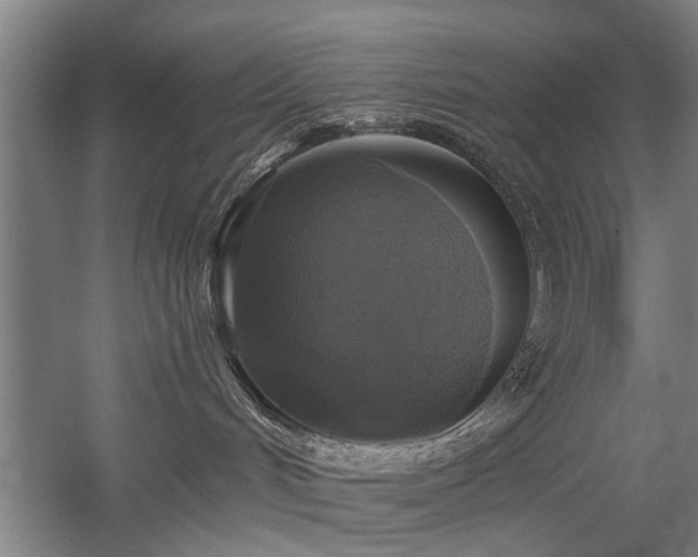 X0000058780048200509301126